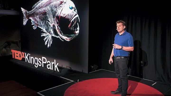 Meet the Mysterious Monsters of the Deep Sea | Ala...