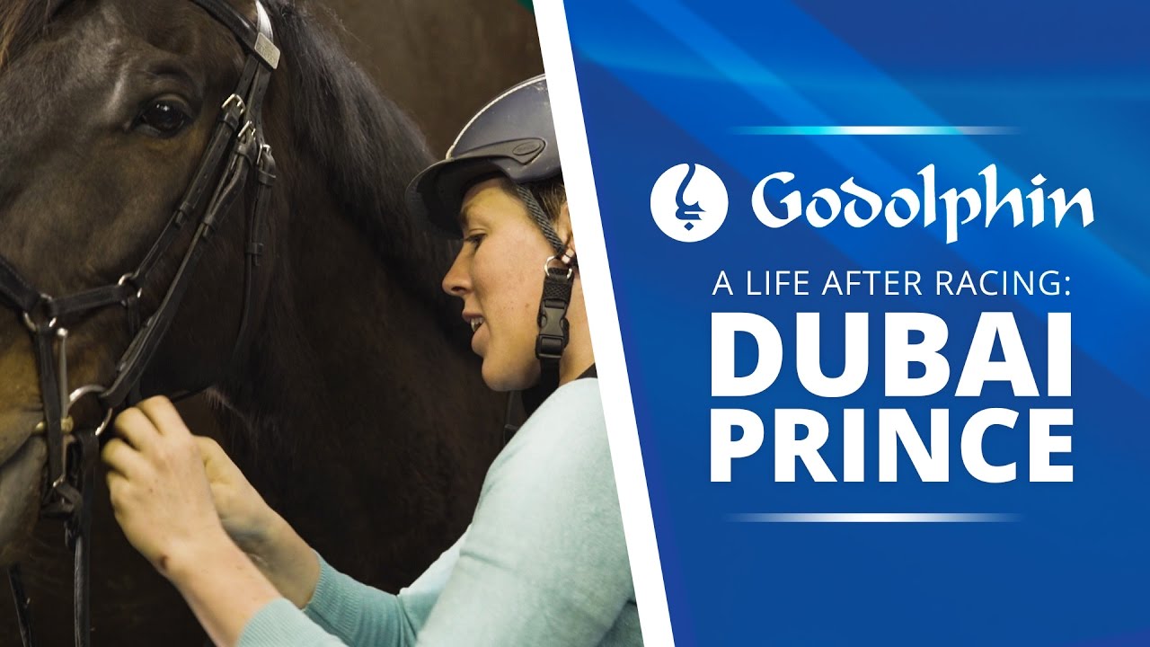 Life after racing: Dubai Prince from racetrack to dressage arena | Part 1 - YouTube Life after racing: Dubai Prince from racetrack to dressage arena | Part 1 - YouTube