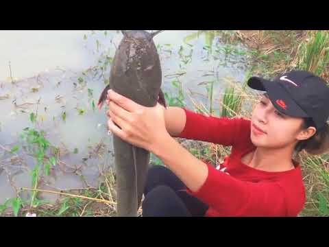 Video: Fisk Hodgepodge