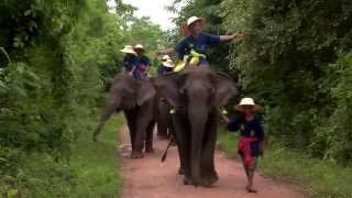 Kep elephant bareback riding, bathing and bamboo rafting on the river
kwai