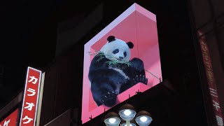 渋谷では巨大パンダ！　渋谷センター街の3Dビジョン広告