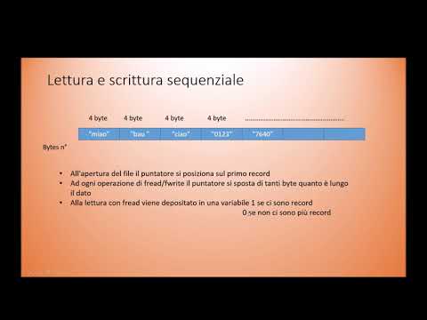 Video: Come Tradurre Un File Binario