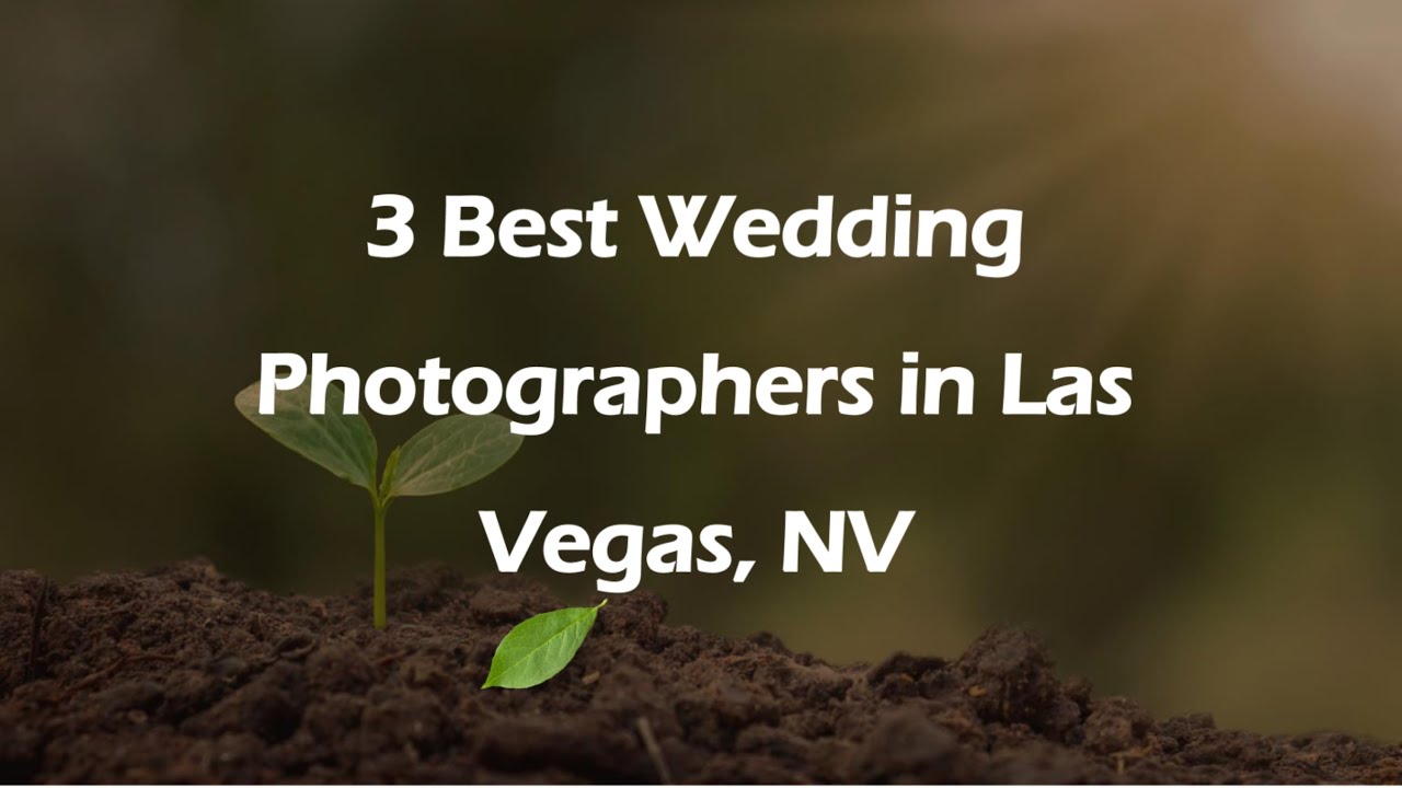 3 Best Wedding Photographers in Las Vegas, Nevada 2024 | Wedding Photography