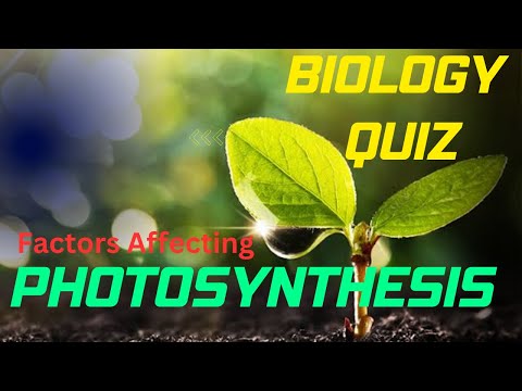 Video: Care organelă este locul chestionarului de fotosinteză?