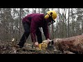 РЕАЛЬНЫЙ ТЕСТ DeWALT DCM575X1. Аккумуляторная пила с шиной Oregon и цепью STIHL