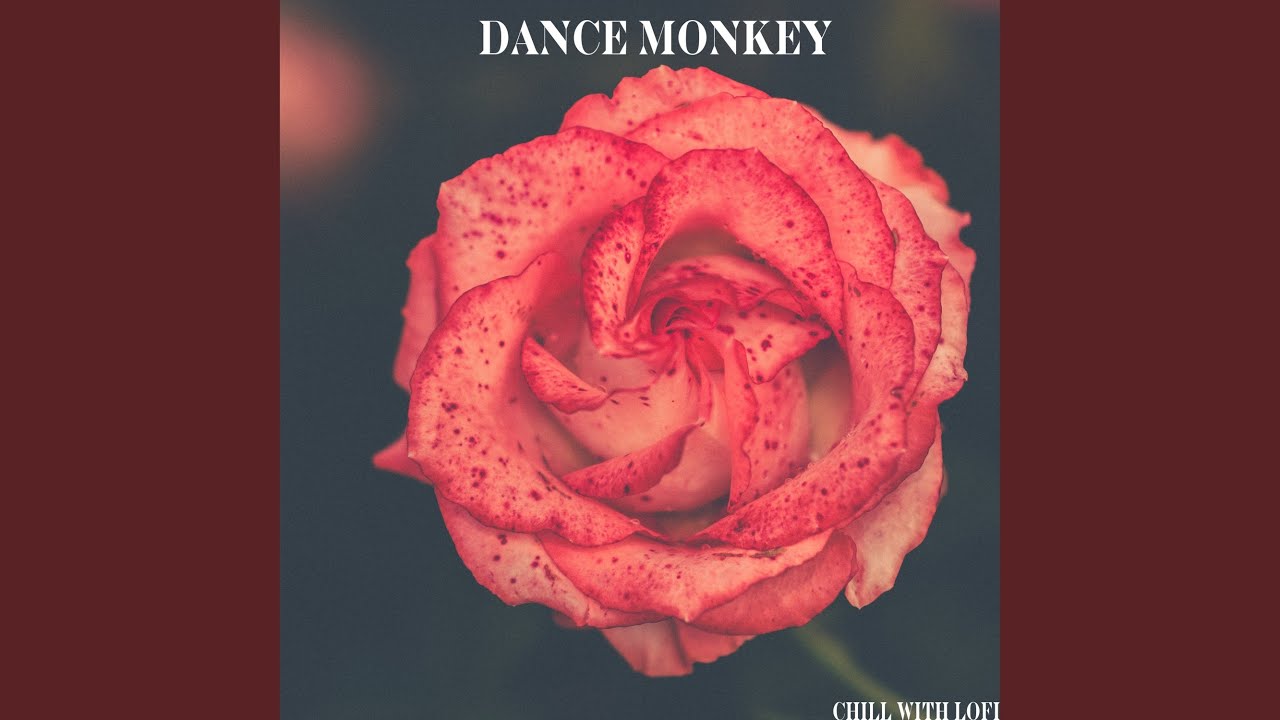 Dance Monkey auf YouTube ansehen Dance Monkey auf YouTube ansehen