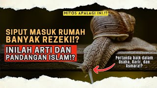 SIPUT MASUK RUMAH PERTANDA REZEKI MASUK BANYAK!? INILAH ARTI DAN PANDANGAN ISLAM!? #islampedia