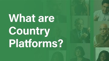 What are Country Platforms?