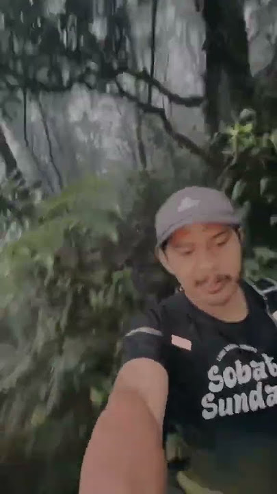 Suara gamelan di tengah hutan 👽😈 #ytshorts #pendakigunung #pendaki #gunung