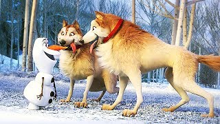 Olaf Loves Doggies - At Home With Olaf (New Frozen, 2020) by Animation Viral 48,480 views 4 years ago 6 minutes, 13 seconds