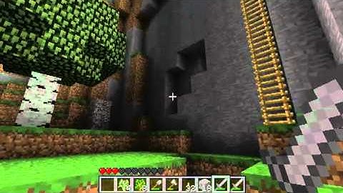 Minecraft - Singleplayer Part 9 with Silence