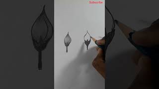 Flower drawing - easy scenery drawing - easy pencil drawing - flower drawings - easy drawing