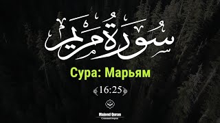 Абдурахман Аль Али Сура: «Марьям»(Аяты 16:25)