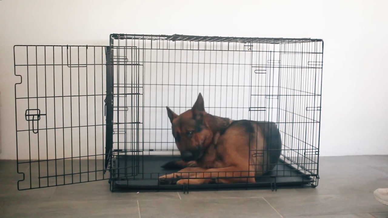 ferplast dog cage