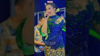 Aku Happy  Niken Salindry cdanursari Version dangdutkoplo short anekasafarirecordsfypage