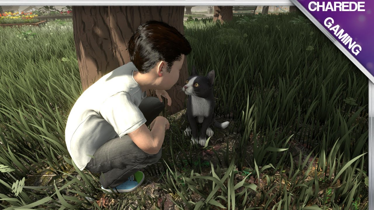 Get Ready To Laugh: CopyCat Derpiest Moments!