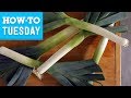 How to clean leeks for beginners  food network