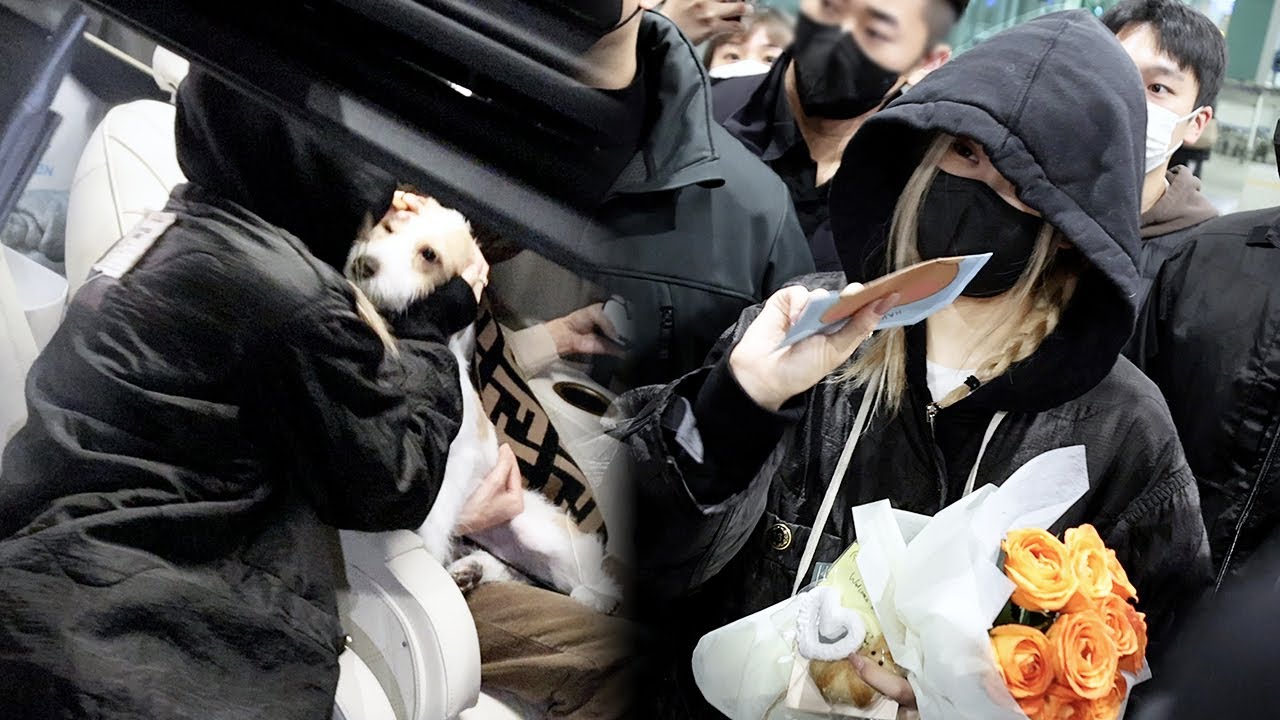 221122 BLACKPINK “ROSÉ & HANK” (블랙핑크 로제) 입국 ‘마중 나온 반려견 행크’ ARRIVAL | 인천공항 • 비몽