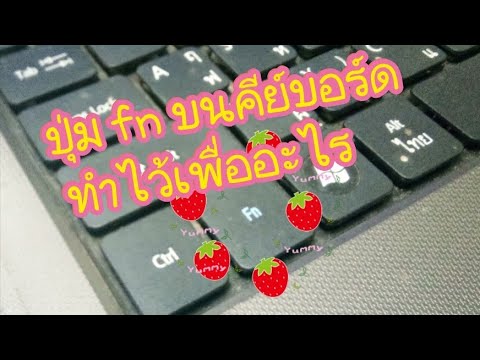 ปุ่ม fn ทำไว้เพื่ออะไร