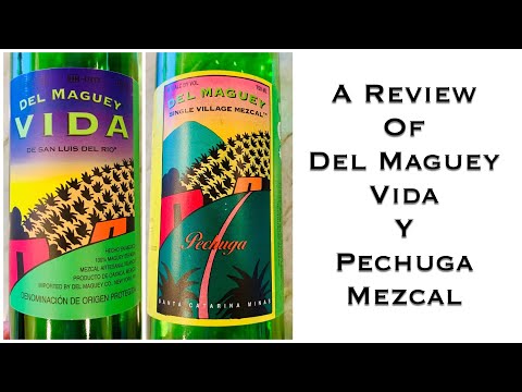 Del Maguey Vida y Pechuga Review