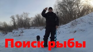 Поиск рыбы в январе 09.01.2022