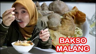 SEMANGKOK PENUH !!! Bakso Malang Auto Kenyang, Banyak Jenisnya...