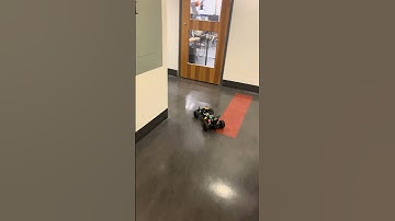 UPenn ESE 615 F1Tenth Team 3 Lab 6 Sampling-based Motion Planning