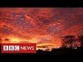 New video by BBC News on YouTube