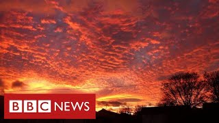 Sweaty Tropical Nights May Soon Be Common In Uk Warn Climate Scientists - Bbc News