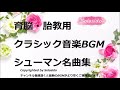 育脳・胎教用クラシック音楽BGM　シューマン名曲集 赤ちゃんとママのために育脳胎教用のシューマン名曲を集めたクラシック音楽BGM