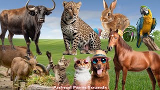 Cute Little Animals: Dog, Cat, Wolf, Goat, Bull, Parrot, Rabbit, Horse  Animal sounds