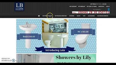 Human Computer Interaction Project 2- Website Evaluation