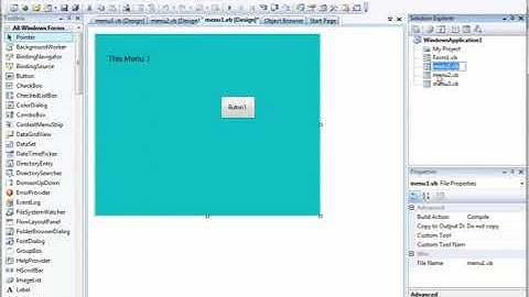 Using panel in vb.net