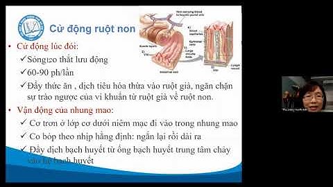 Bài 22 tiêu hóa ở ruột non sinh 8 năm 2024