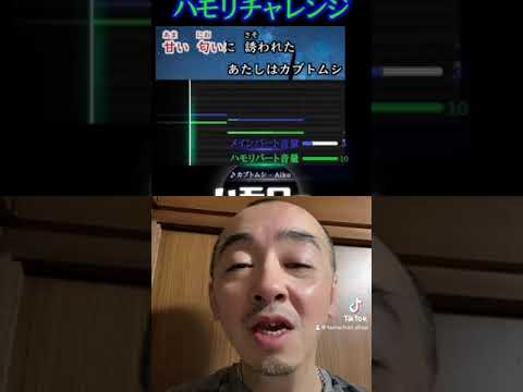 カブトムシ/aiko/ハモリチャレンジ