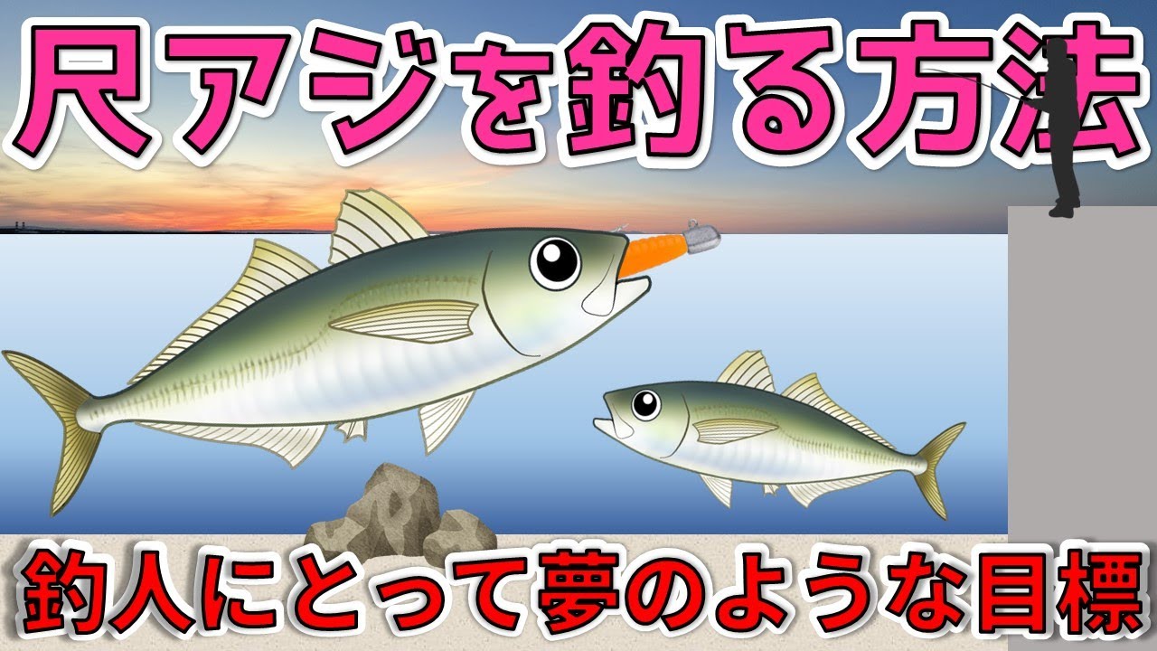 【アジング】夢ではない！尺アジを釣る方法【30cm以上】
