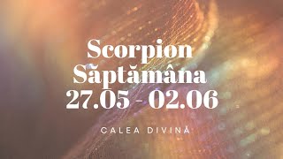 ♏️Scorpion - 27.05-02.06💕Tragi lozul cel mare în iubire🌟Nu lăsa pe nimeni să-ți tulbure fericirea