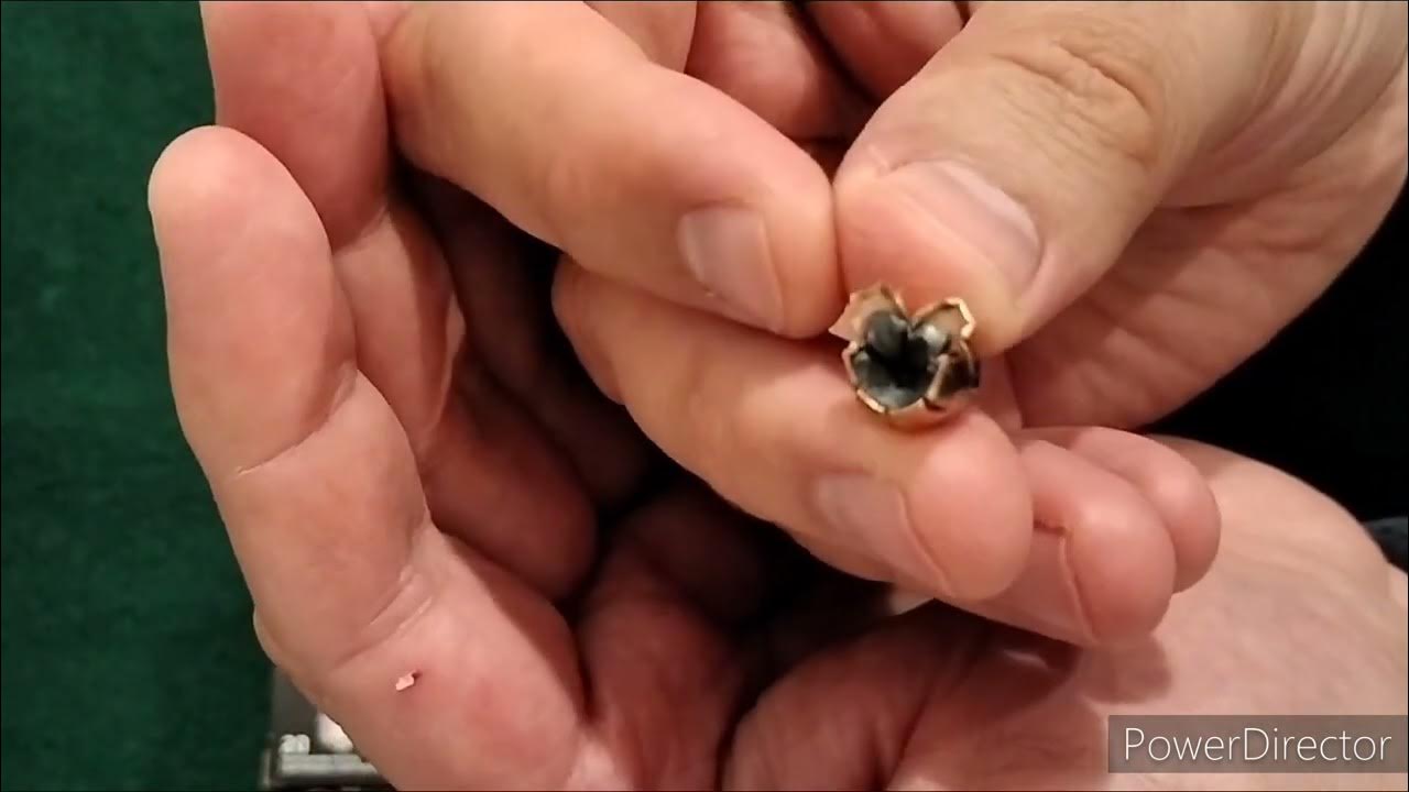 .380 acp Federal HST vs Punch YouTube