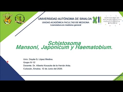 Vídeo: Efectos Farmacológicos E Inmunológicos Del Prazicuantel Contra Schistosoma Japonicum: Una Revisión De Alcance De Estudios Experimentales
