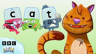 The Cutest Cats in Alphaland!   | Learn to Read | Alphablocks