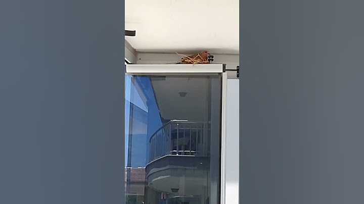 Bakın Burada Kim Var?