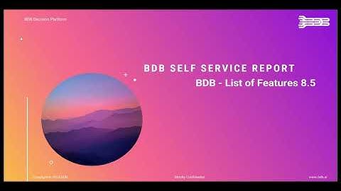 BDB 8.5 - Self-Service Report Features