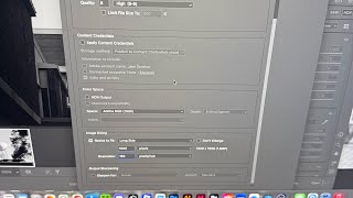 Vlog 