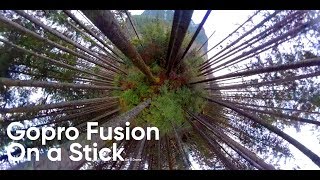 Gopro Fusion On a Stick