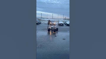 Quad Drifting GONE WRONG 🤣😳🤯🔥 #youtubeshorts #quad #dirtbike #atv #wheeliedirtbike #motovlog