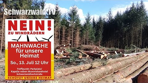 🚨 Rettet den Schwarzwald und NEIN zu Windrädern‼️ Große Mahnwache am 13.07.2025 beim Mummelseehotel