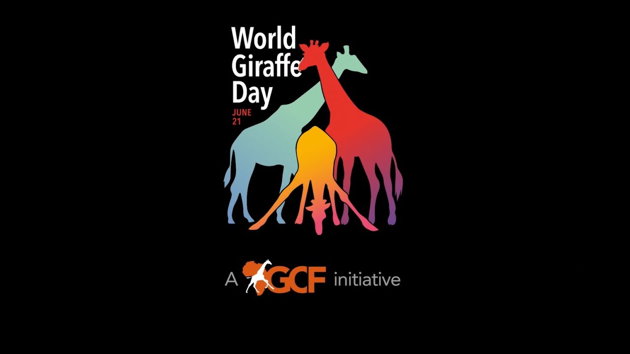 World Giraffe Day 21 June 21 Youtube