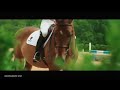 EQUESTRIAN SPORT - POWER - SUPERHERO