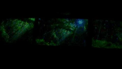 Big Cat Falls short film at the Philadelphia Zoo