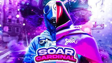 zCardinal - #SoaRRC Final Response